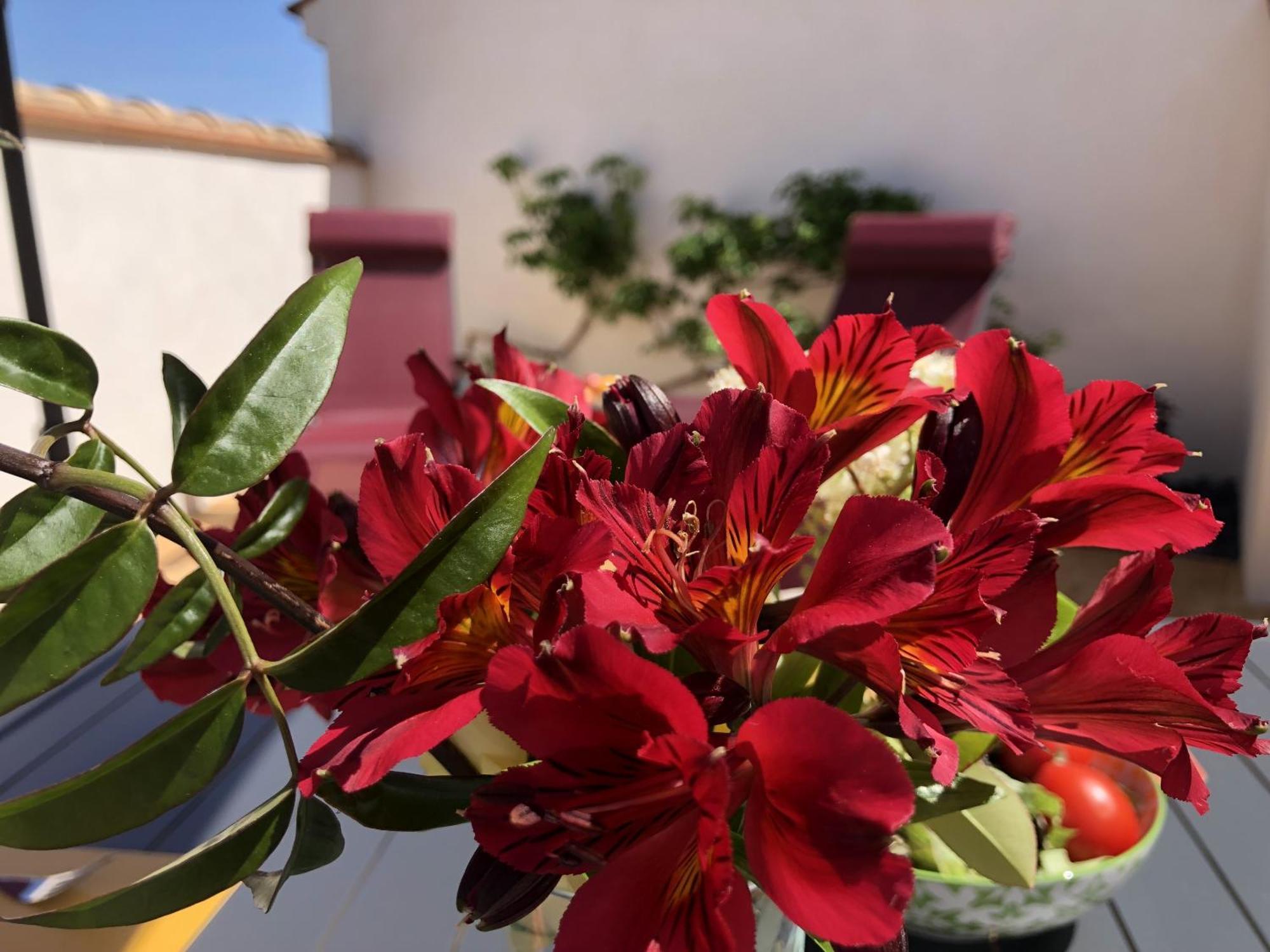 Gites La Catalane Theza Номер фото